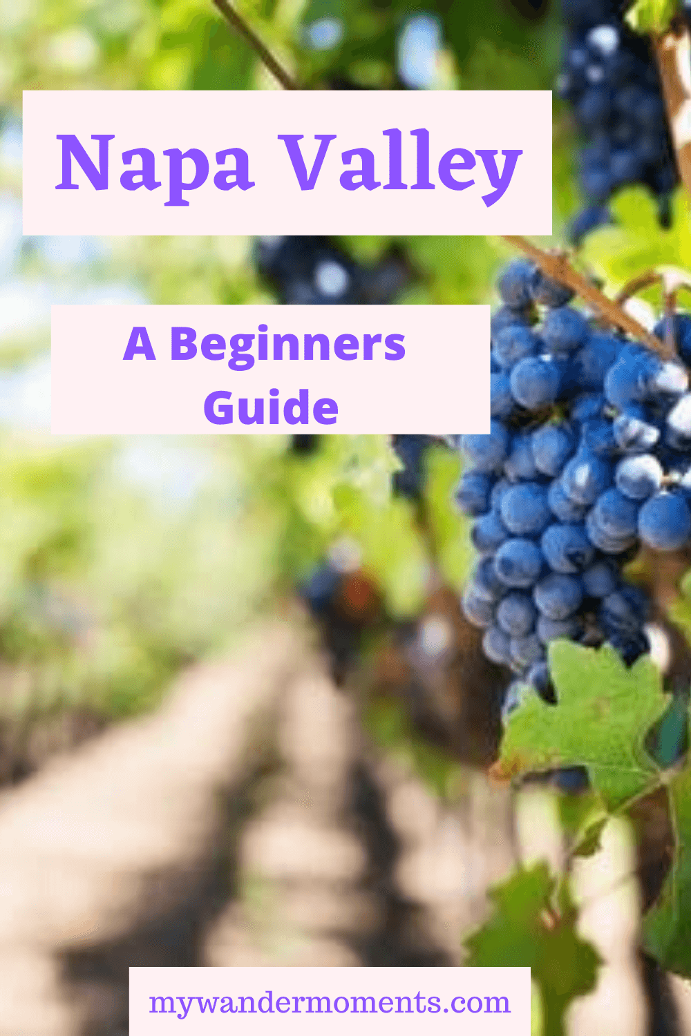 A Beginners Guide to Napa Valley