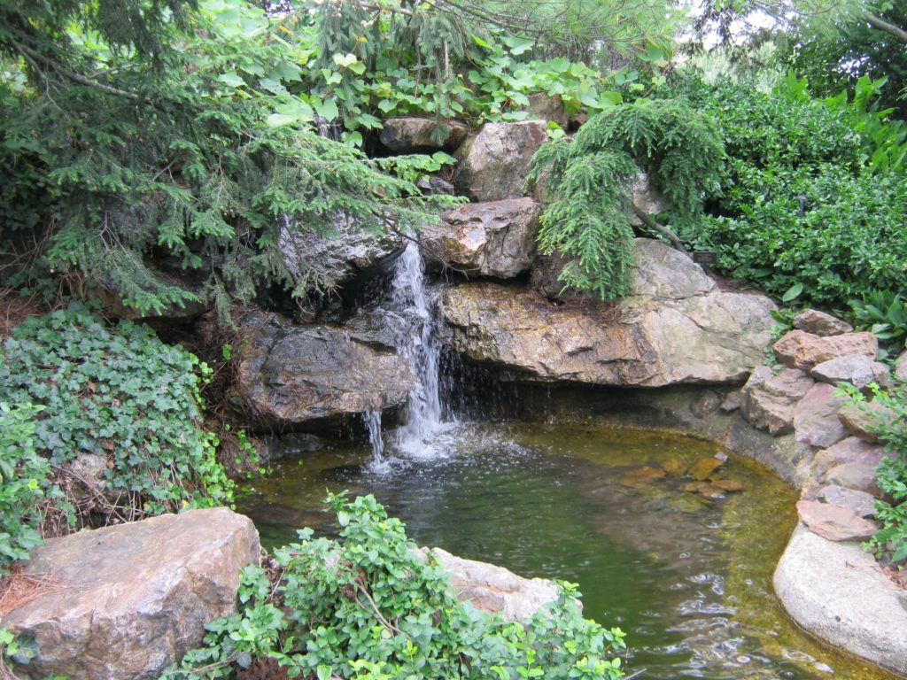 anderson japanese garden