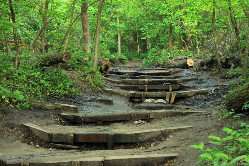 starved rock