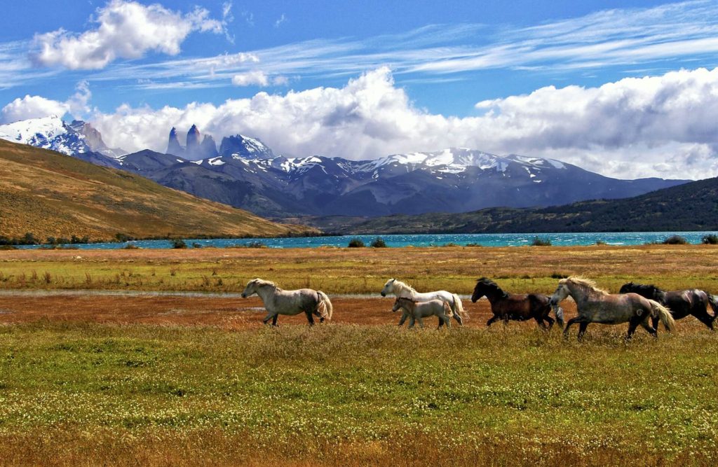 best things to do in south america on a budget