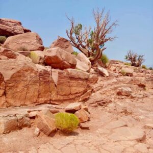 itinerary for grand canyon trip solo