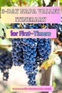 A Beginners Guide to Napa Valley