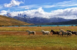 Hidden budget-friendly gems in South America for travelers
