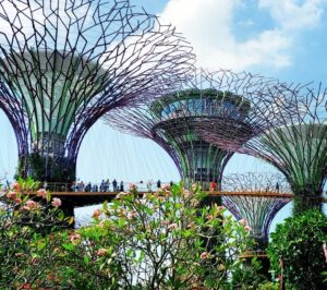 singapore travel guide
